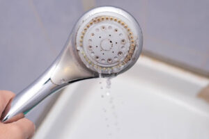 Limescale from mineral deposits on showerhead.