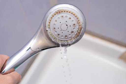 Limescale from mineral deposits on showerhead.